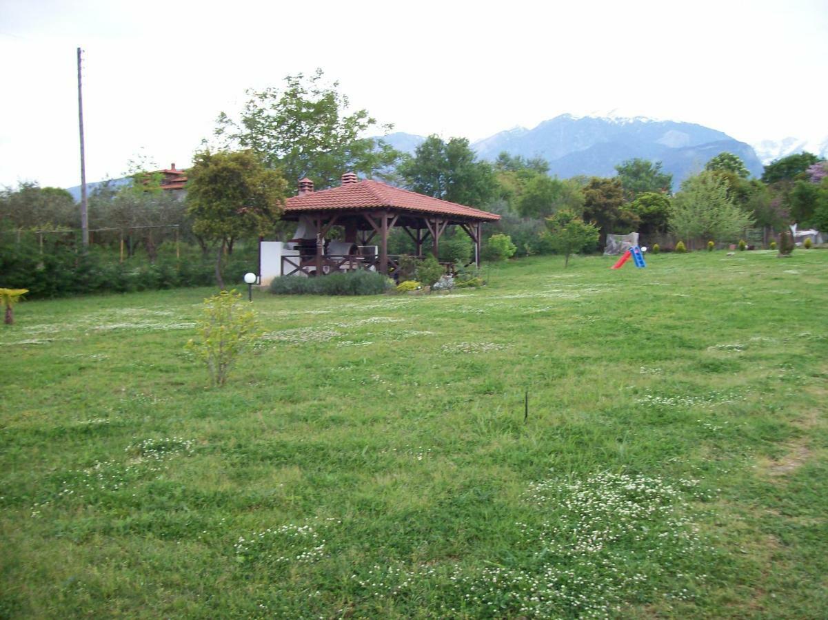 Villa Casa Consta Olympus Litochoro Exterior foto
